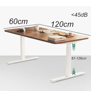 SanzIa Electric Sit Stand Desk, Height Adjustable Standing Desk, Dual Motor, 264lbs Capacity, Memory Presets, USB & Child Lock (Style 2, 120x60x61-126cm)