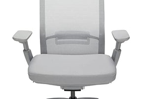 Allsteel Evo Office Chair with Lumbar Support, Adjustable Arms, Activated Recline - Gray Frost Mesh