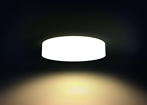 Philips Hue White Ambiance Fair Dimmable LED Smart Flushmount (Works with Alexa  Apple HomeKit, and Google Assistant)