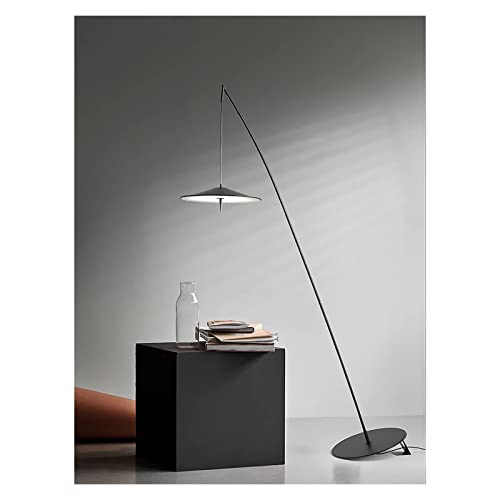 WAOCEO Modern Rustic Black Floor Lamp - Tumbler Design - Living Room Display
