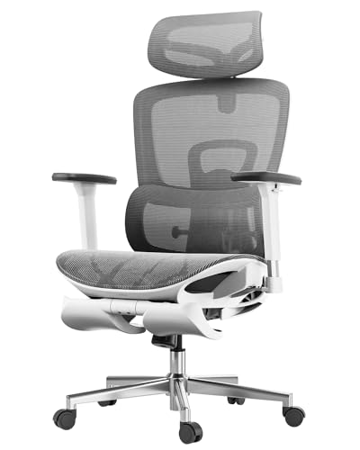 Hbada E208 Ergonomic Office Chair with 3D Adjustable Armrests and High Back - White