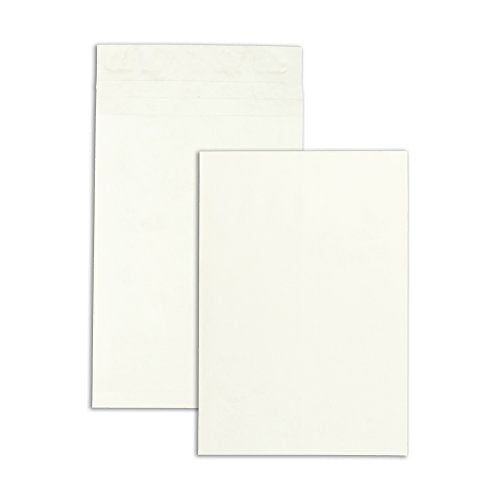 Survivor R4290 Tyvek Expansion Mailer, 12 x 16 x 2, White, 18lb (Case of 100)