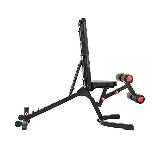Sunny Health & Fitness Fully Adjustable Power Zone Utility Heavy Duty Weight Bench with 1000 LB Max Weight – SF-BH6920, Black
