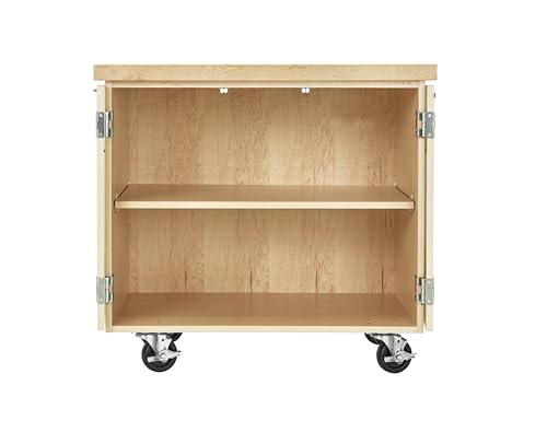 Diversified Woodcrafts Access Classroom Mobile Lab Cabinet, Maple