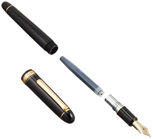 Platinum Fountain Pen #3776 Century (Extra Fine, Black in Black)