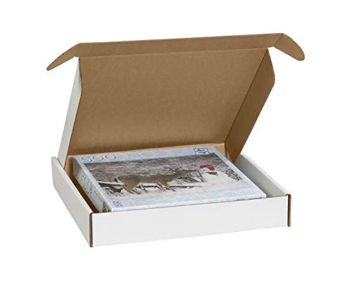 BOX USA BMFL13133 Deluxe Literature Mailers, 13" x 13" x 3", White (Pack of 50)