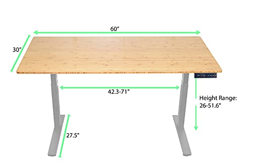 RISE UP dual motor electric standing desk 60x30" bamboo desktop premium ergonomic adjustable height sit stand up home office computer desk table motorized powered modern furniture small standup