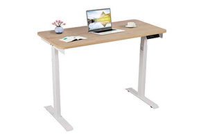 Electric Standing Desk,Adjustable Height Desk,Home Office Workstation Stand Up Desk for Small Space