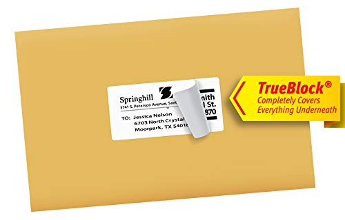 Avery Shipping Address Labels, Laser Printers, 5,000 Labels, 2x4 Labels, Permanent Adhesive, TrueBlock (95910)