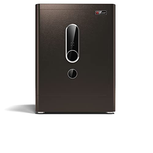 HOLOJOY Biometric Fingerprint Home Safe Box for Money Office Personal Safe with Emergency Key Lock Electronic Keypad Touch Screen Security Money Documents Valuables Safe Box (4 Cubic Feet)