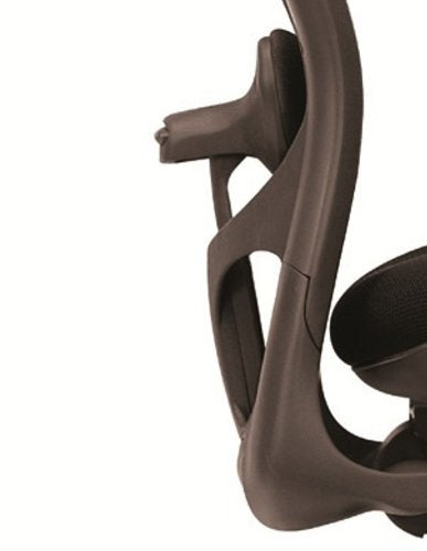 CXO Executive Mid Back Chair in Black w Headrest (Black)