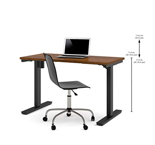 24“ x 48“ Standing Desk