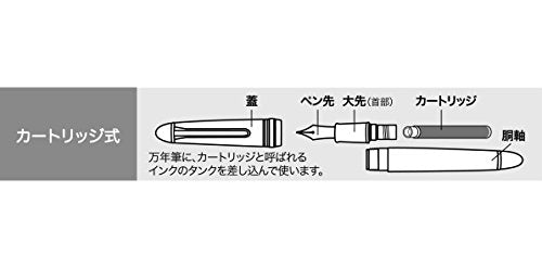 Sailor Pen fountain pen profit 21 silver in di 11-2024-420 Black