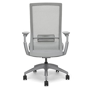 Allsteel Evo Office Chair with Lumbar Support, Adjustable Arms, Activated Recline - Gray Frost Mesh