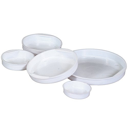 Aviditi Plastic End Caps for Mailing Tubes, 8 Inch Diameter, White (100 Pack)