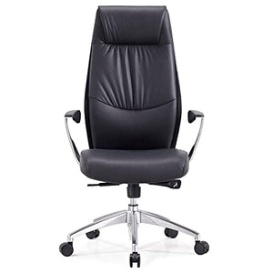 Zuri Furniture Modern Franklin Genuine Leather Executive Chair - Black