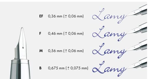 LAMY 2000 Extra-Fine Point Fountain Pen, Black (L01EF)