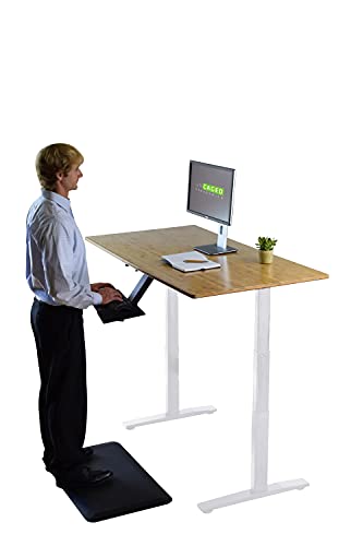 Rise UP Dual Motor Electric Standing Desk 60x30" Bamboo Desktop Premium Ergonomic Adjustable Height sit Stand up Home Office Computer Desk Table Motorized Powered Modern Furniture Small Standup