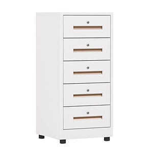 FIONEL 5 Drawer Vertical Metal File Cabinet with Lock - Gold