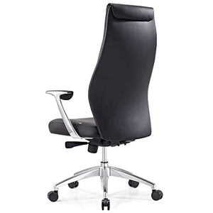 Zuri Furniture Modern Franklin Genuine Leather Executive Chair - Black