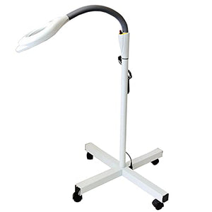 Gooseneck Floor Lamp 10X / 30X Height Adjustable LED Magnifying,Daylight Bright Full Spectrum Magnifier Lighted Glass Lens Standing Light for Reading Lighting ( Size : 10X )