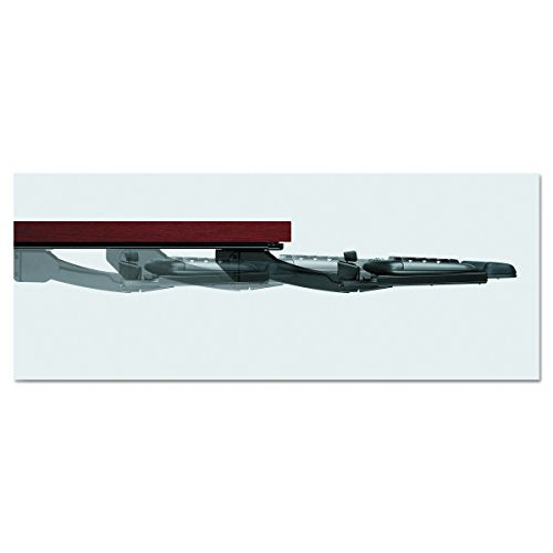 Fellowes 8036101 Professional Executive Adjustable Keyboard Tray, 19w x 10-5/8d, Black
