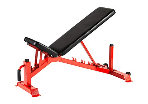 Lifeline Utility Weight Bench – Adjustable – 1,000lb Rated for Weightlifting and Strength Training