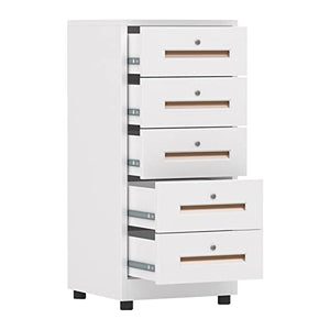 FIONEL 5 Drawer Vertical Metal File Cabinet with Lock - Gold