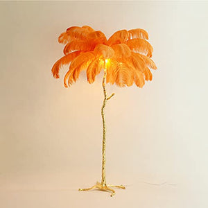 YAsao Ostrich Natural Feather LED Floor Lamp (Orange, 170CM)