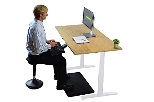 Rise UP Dual Motor Electric Standing Desk 60x30" Bamboo Desktop Premium Ergonomic Adjustable Height sit Stand up Home Office Computer Desk Table Motorized Powered Modern Furniture Small Standup
