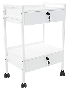 SKINACT Pro Medical Dental Mobile Utility Cabinet & Cart with Steel Frame and Two Drawer