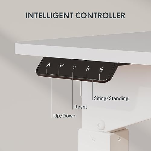 FLEXISPOT Dual Motor L-Shaped Standing Desk 71x43 White