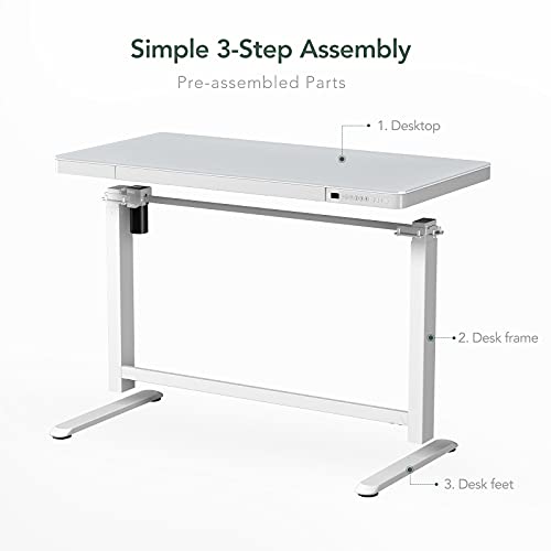Flexispot Electric Height Adjustable Standing Desk with Drawer 48 x 24 Inch Tempered Glass White Desktop & Frame Home Office Computer Workstation (2.4A USB Charge Ports, Memory Controller, Child Lock)
