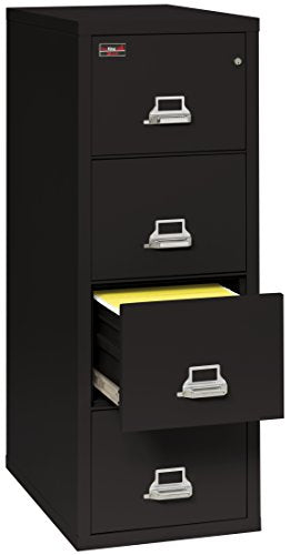 FireKing Fireproof 2 Hour Rated Vertical File Cabinet (4 Letter Sized Drawers, Impact Resistant, Water Resistant), 56.19" H x 19" W x 31.19" D, Black