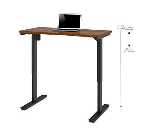 24“ x 48“ Standing Desk