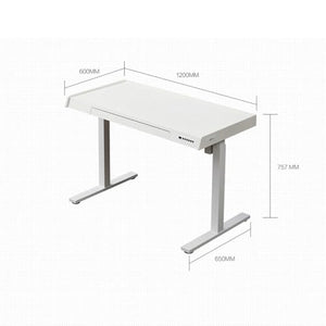 SanzIa Electric Standing Desk with Height Adjustment, Drawer, Memory Presets, USB - 30-47" Sit Stand Computer Workstation