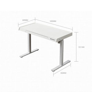 SanzIa Electric Standing Desk - Height Adjustable Computer Workstation with Drawer, Memory Presets, USB
