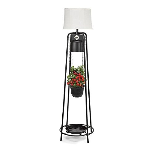 Catalina Lighting Glo Gro 45-Watt LED Grow Light, Étagère Floor Lamp with Adjustable Plant Housing and Integrated Timer, Black, 20745-000