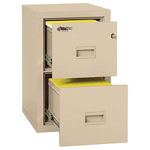 FireKing Fireproof 2 Drawer Vertical File Cabinet 2R1822-CPA, Legal-Letter - 17-3/4"x22-1/8"x27-3/4