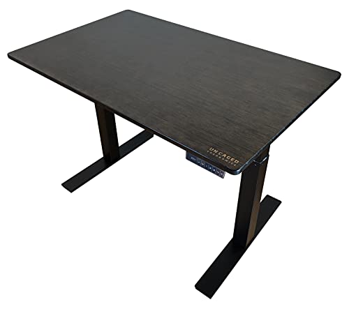 Rise UP Dual Motor Electric Standing Desk 60x30 Black Bamboo Desktop Premium Ergonomic Adjustable Height sit Stand up Home Office Computer Desk Table Motorized Powered Modern Furniture Small Standup