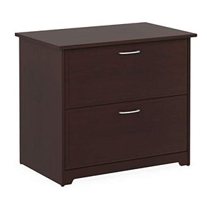 StarSun Depot 2-Drawer Lateral File Cabinet in Cherry Wood Finish