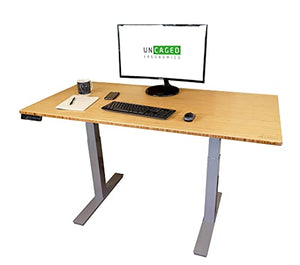 RISE UP dual motor electric standing desk 60x30" bamboo desktop premium ergonomic adjustable height sit stand up home office computer desk table motorized powered modern furniture small standup