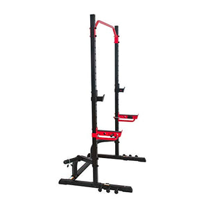 Sunny Health & Fitness Power Zone Squat Stand Power Rack Cage - SF-XF9931