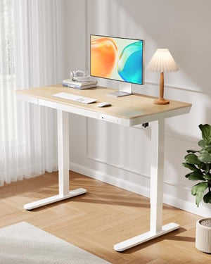 ErGear Electric Standing Desk with Drawer, 48 x 24 inch, USB Charging Ports