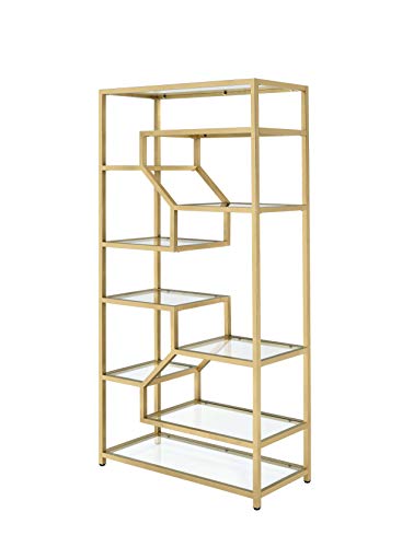 ACME Lecanga Glass and Gold Bookshelf
