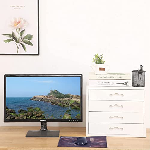 BIZOLE Flat File Cabinet Storage with Lockable Drawers - Wooden Desktop Organizer (Size: B)