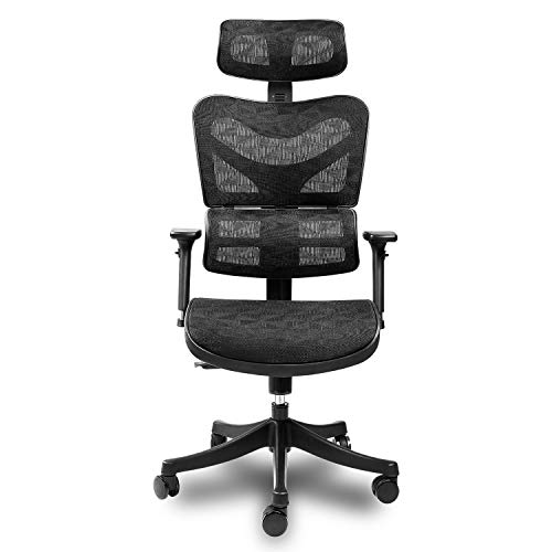 Ergonomic Mesh Office Chair High Back with Adjustable Headrest/Tilt Back/Tension/Lumbar Support/Armrest/Seat Breathable High End Argomax Computer Desk Chair 360 Swivel Self Adaptive Base (Upgrade)