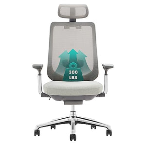 COLAMY Ergonomic Mesh Office Chair with Adjustable Headrest and 4D Arms, Slide Seat, Tilt Lock-Light Grey