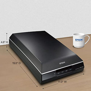 Epson Perfection V600 Photo Color Scanner - USB Connectivity, 6400 x 9600 dpi, 17" x 22" Enlargements