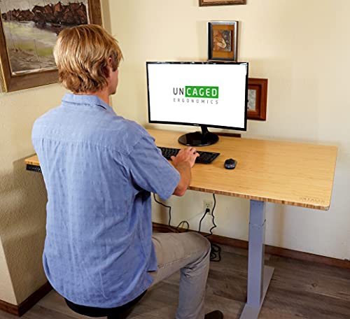 RISE UP dual motor electric standing desk 60x30" bamboo desktop premium ergonomic adjustable height sit stand up home office computer desk table motorized powered modern furniture small standup
